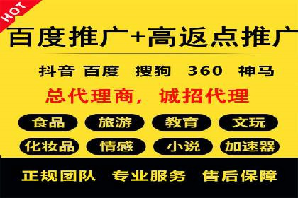 百度竞价推广与SEO结合的策略——以某科技公司为例